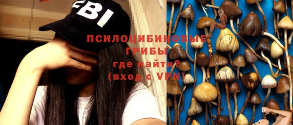 мет Аркадак
