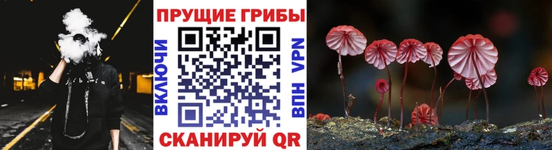 Псилоцибиновые грибы прущие грибы  Городец 
